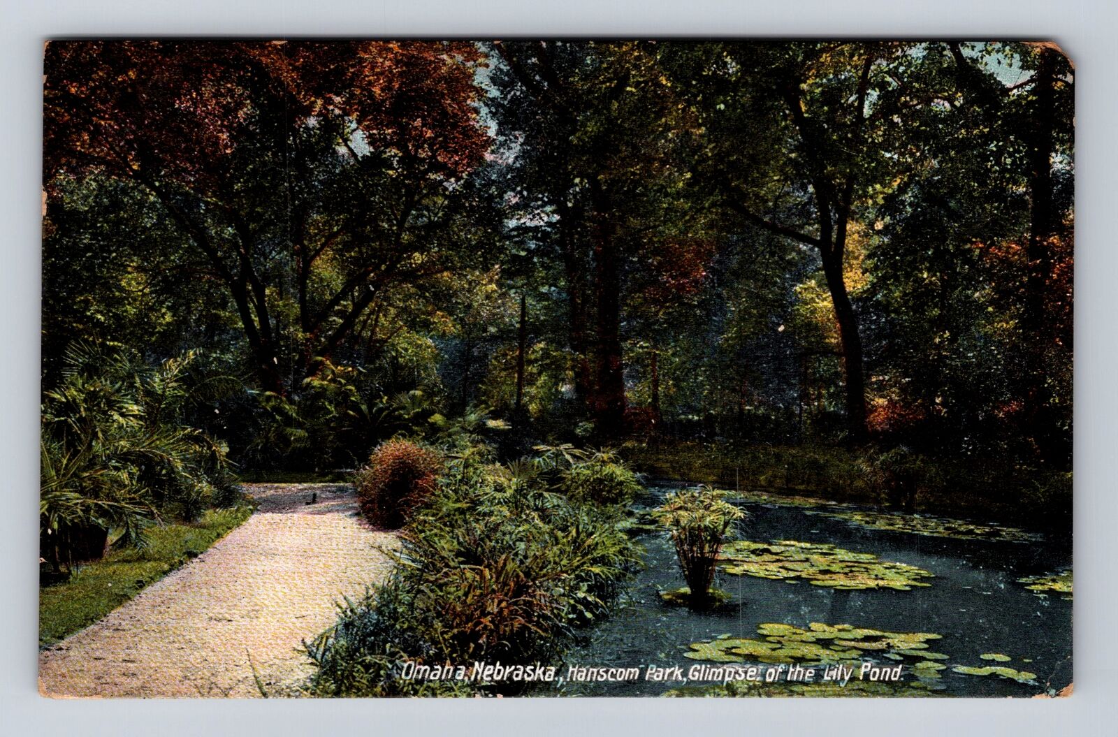 Omaha NE-Nebraska, Hanscom Park, Glimpse Of Lily Pond, Vintage c1911 Postcard