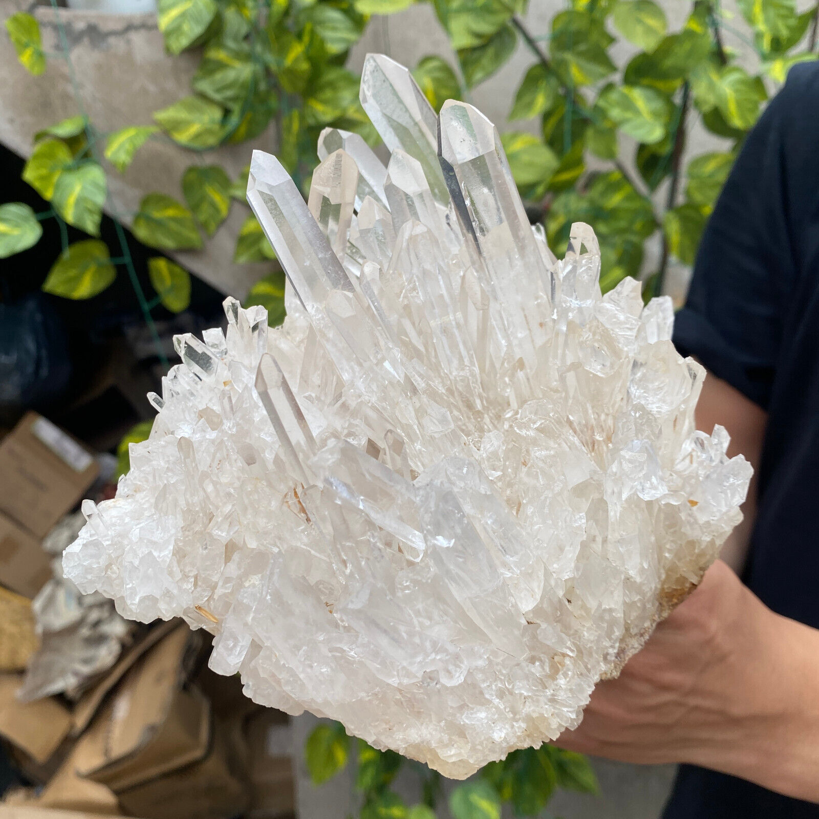 4.6lb Large Natural Clear White Quartz Crystal Cluster Rough Healing Specimen
