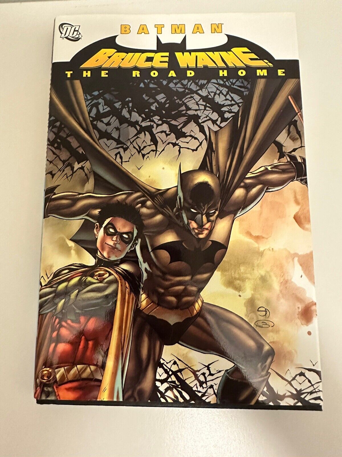 Batman Bruce Wayne The Road Home Hardcover Graphic Novel Comic DC 