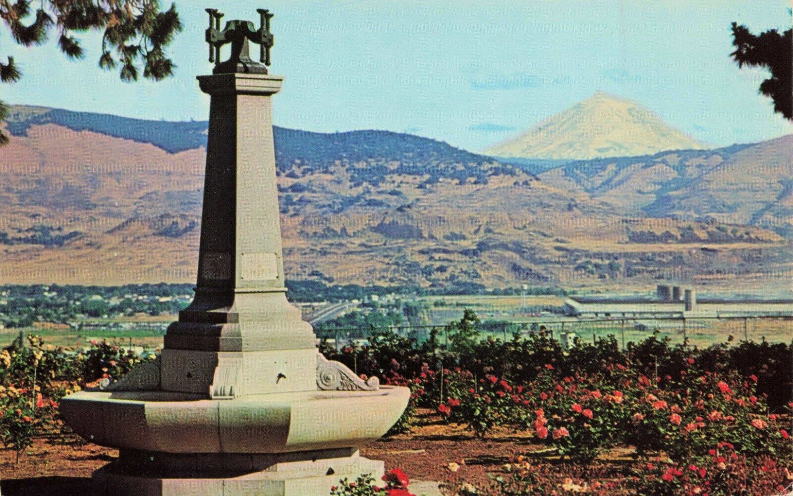 Sorosis Park Oregon Vogt Fountain Rose Garden VTG Postcard Unposted w/ Typing
