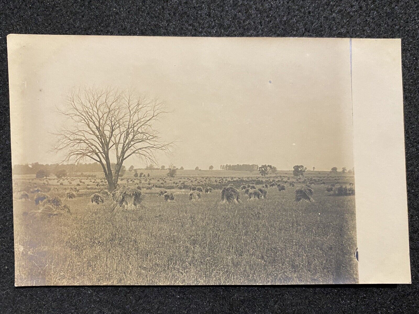 Hay Field Shocks And Farm Antique RPPC Real Photo Postcard