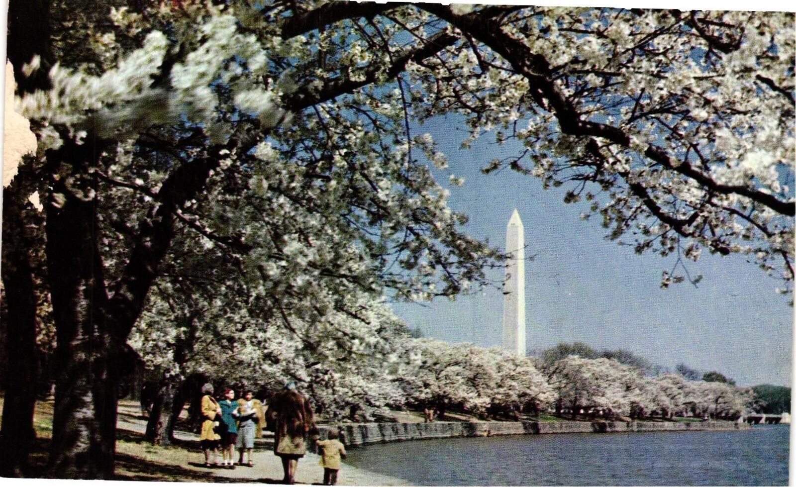 Vintage Postcard- K8. WASHINGTON MONUMENT, WASHINGTON DC. UnPost 1930