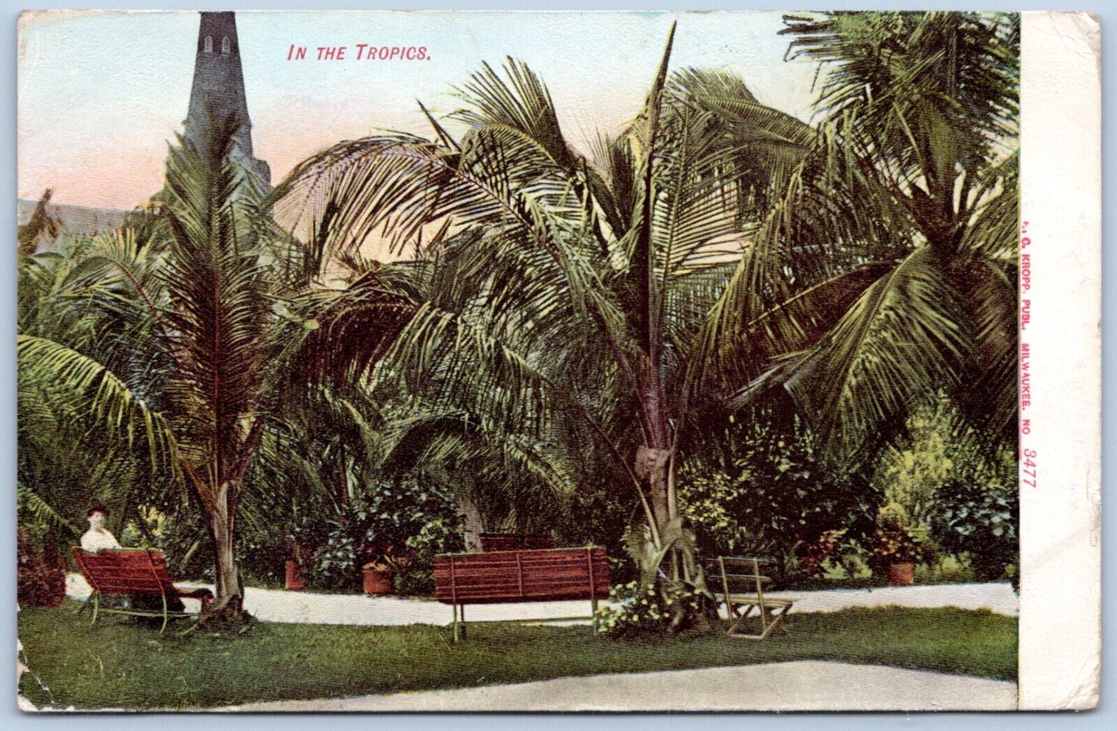 Postcard In The Tropics Palm Trees Posted 1908 Auburndale Florida FL UDB B59