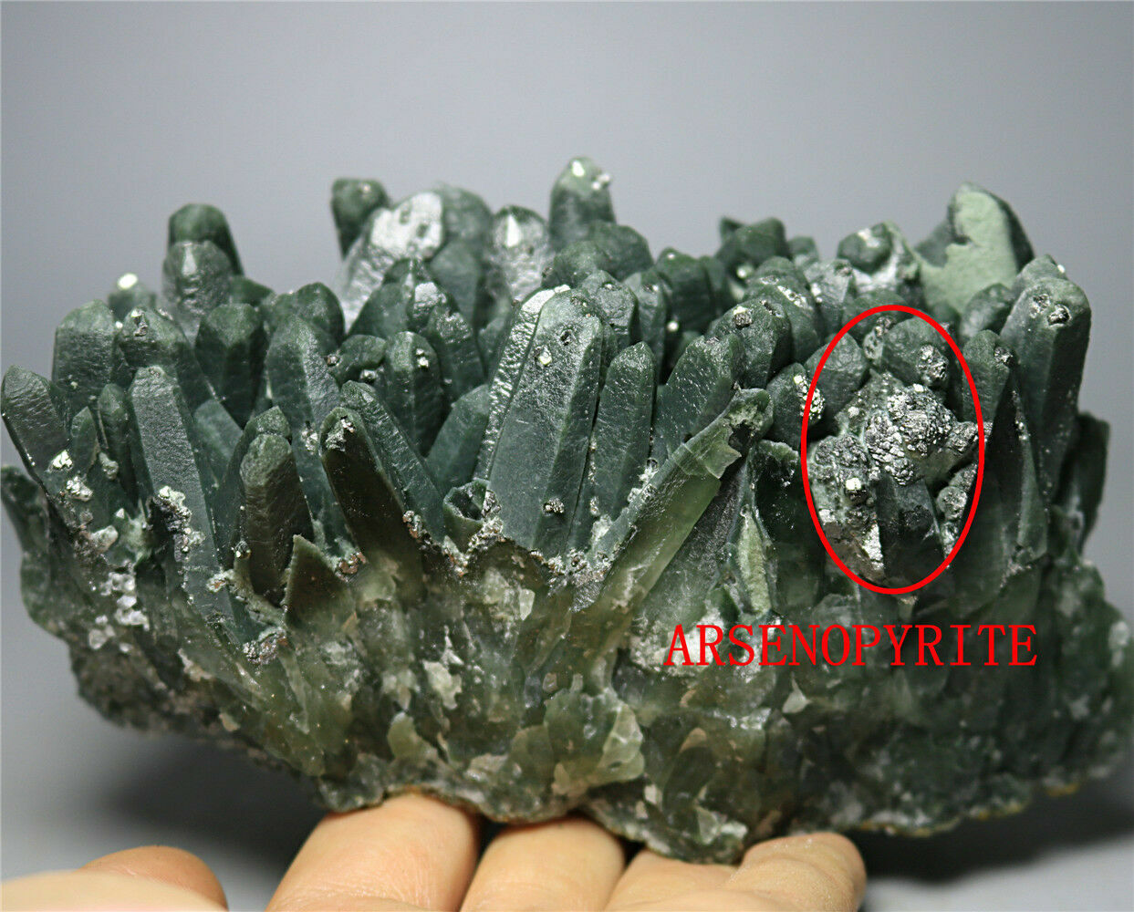 1.93LB 100% Natural Green Quartz Crystal Cluster&ARSENOPYRITE Mineral Specimen 