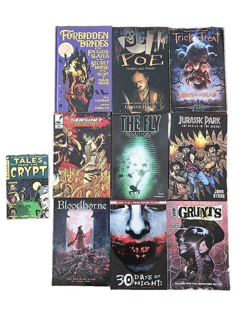 LOT of 10 HORROR related Graphic Novels Bloodborne 30 Days of Night ++ MORE