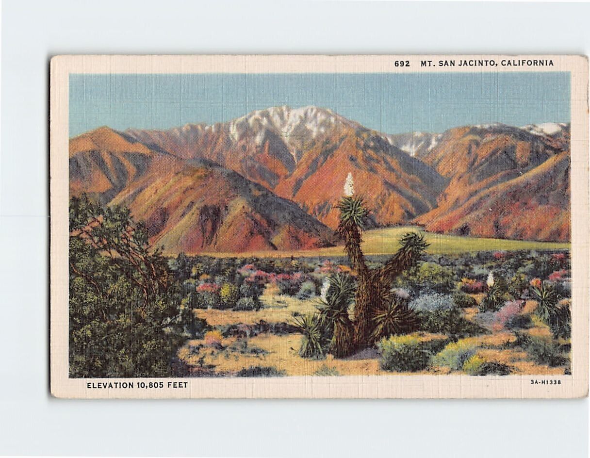 Postcard Mt. San Jacinto California USA