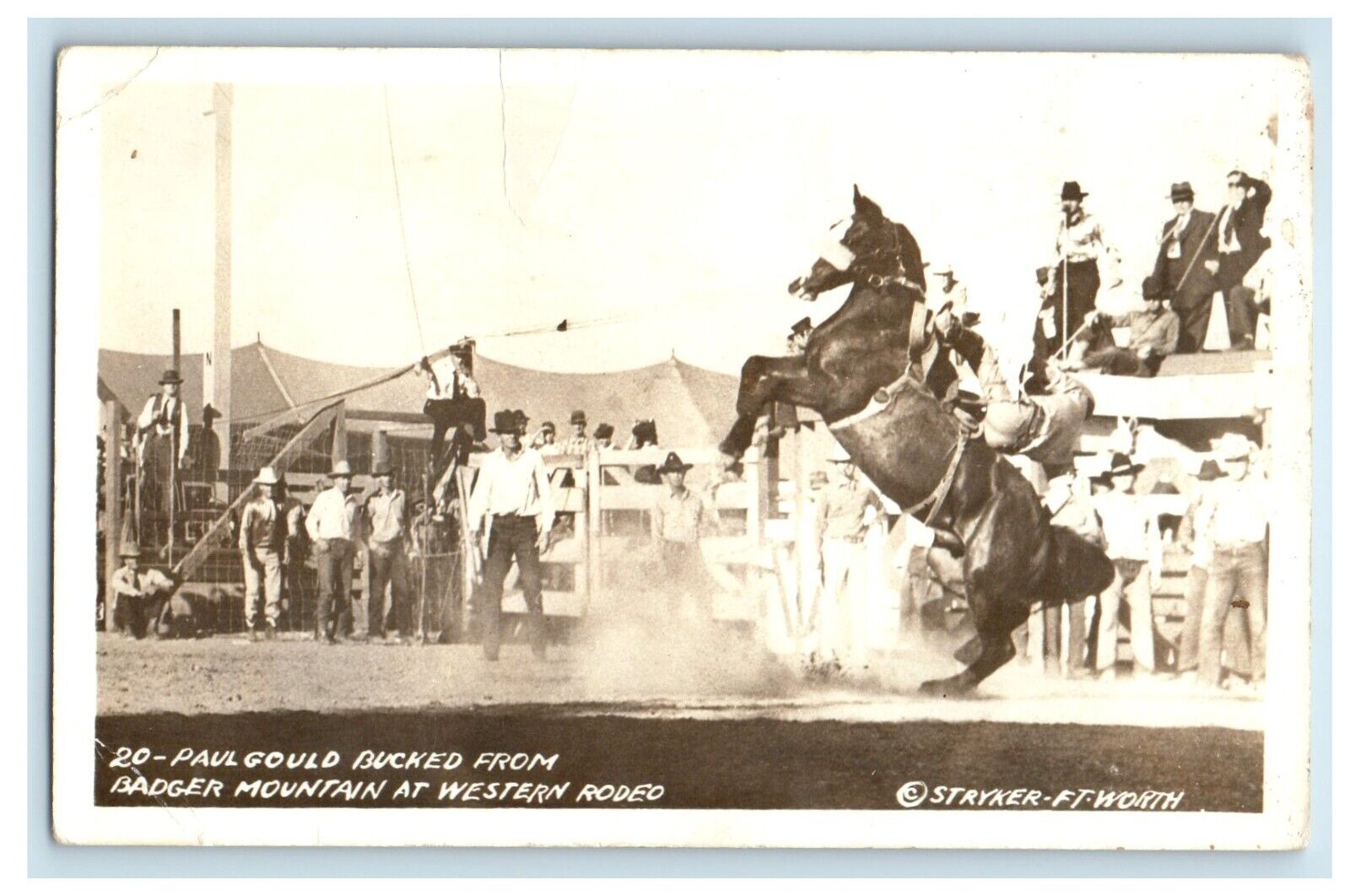 c1940\'s Paul Gould Bucked Western Rodeo Ft. Worth Texas TX RPPC Photo Postcard