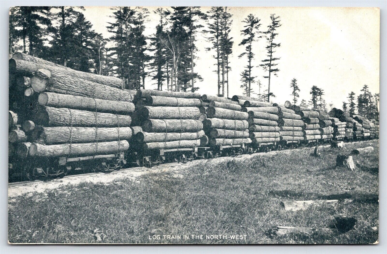 OR? Log Train in the Northwest, DB Posted 1909 WT Ridgley Calendar Co