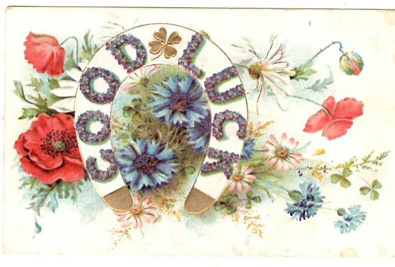 Postcard 1912 Good Luck Horseshoe Poppies Daisies Bachelor Button Embossed
