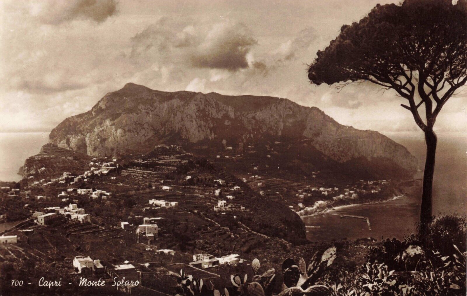 Postcard RPPC Italy Mount Solaro Capri Island \