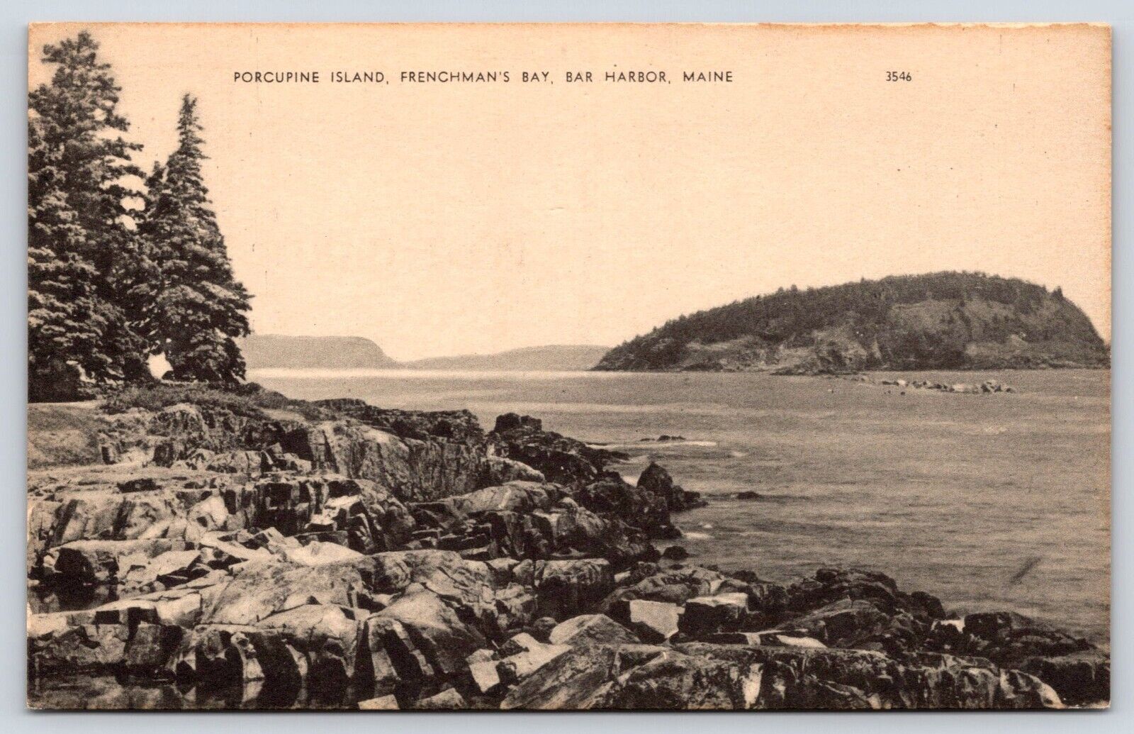 Maine Bar Harbor Porcupine Island Frenchman's Bay Vintage Postcard