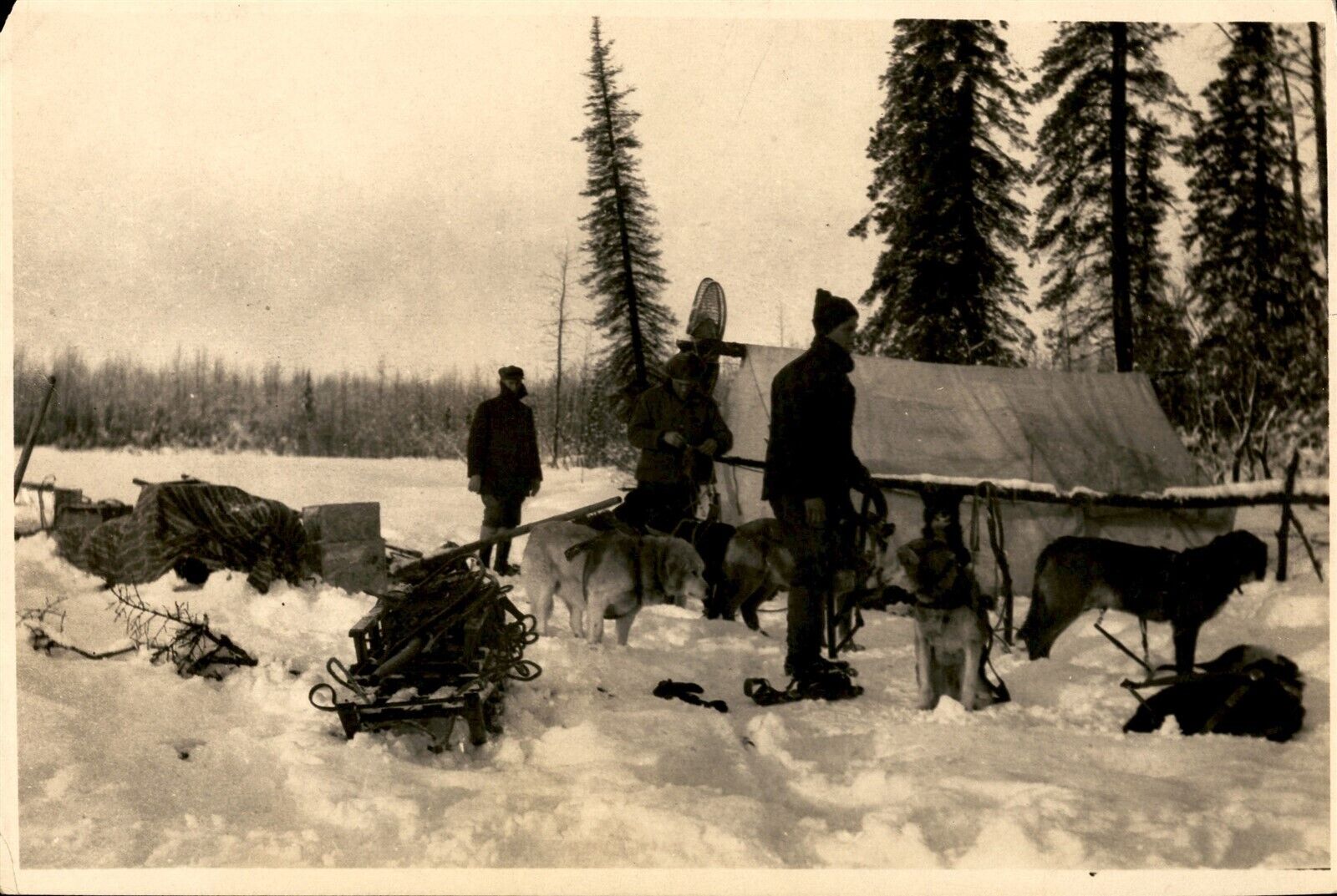 GA175 Original Underwood Photo ARCTIC WINTER CAMP Dog Sled Crew North Wilderness