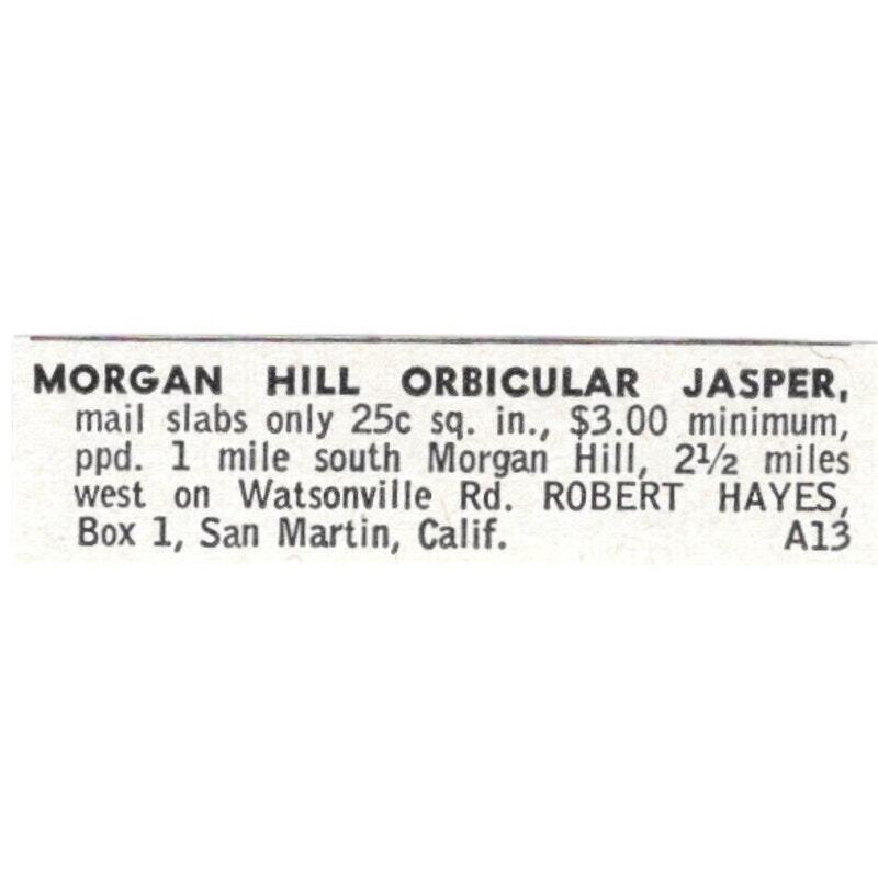 Robert Hayes Morgan Hill Orbicular Jasper San Martin CA 1964 Magazine Ad AB6LJS3