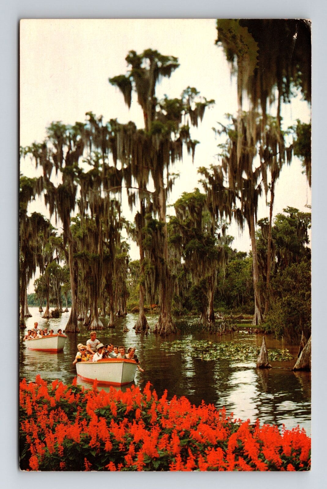 Miami FL -Florida, Sightseeing Boats through Cypress Gardens, Vintage Postcard