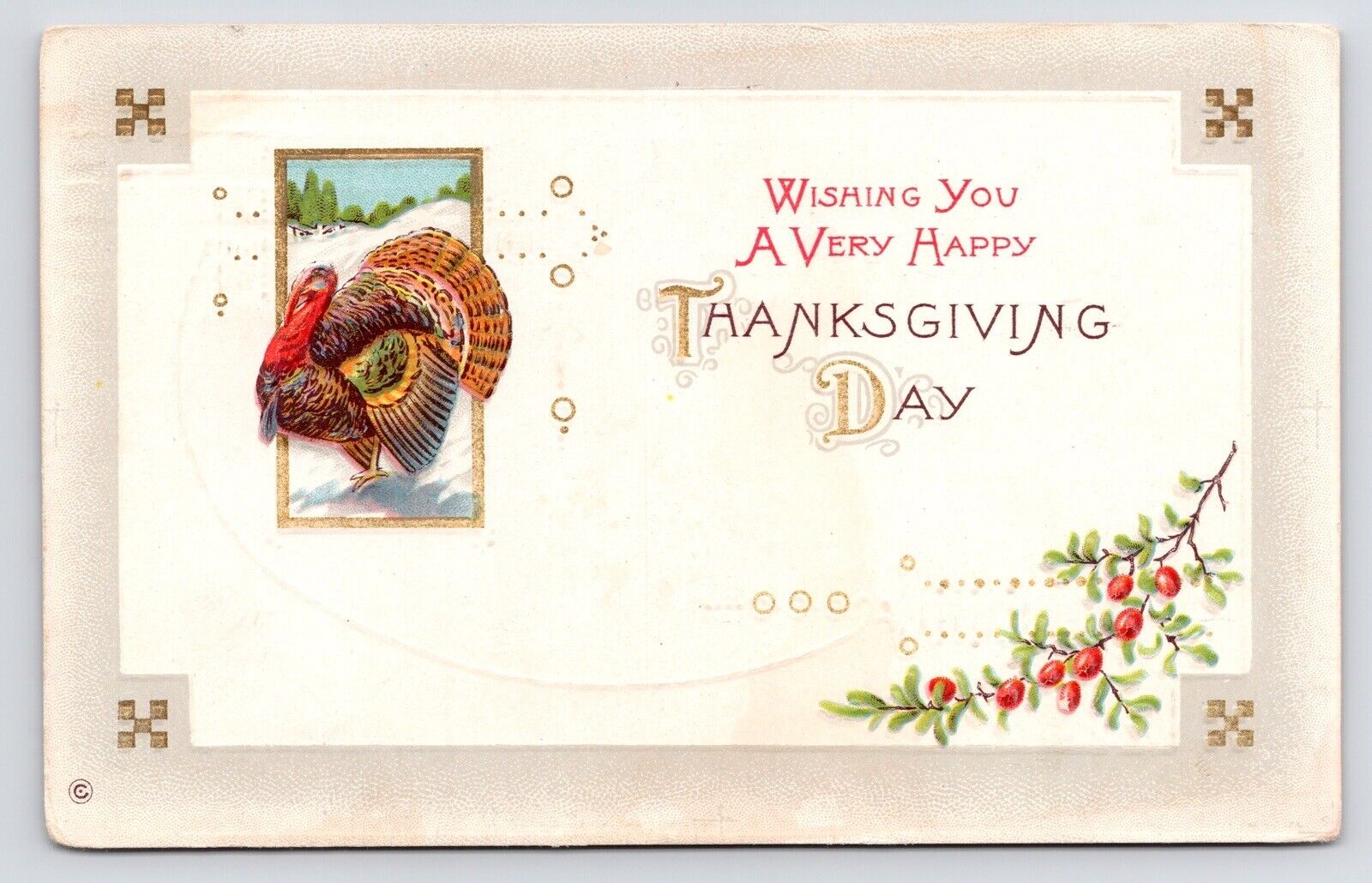 c1900s~Thanksgiving Day Turkey & Cranberries Greeting~Antique VTG Postcard