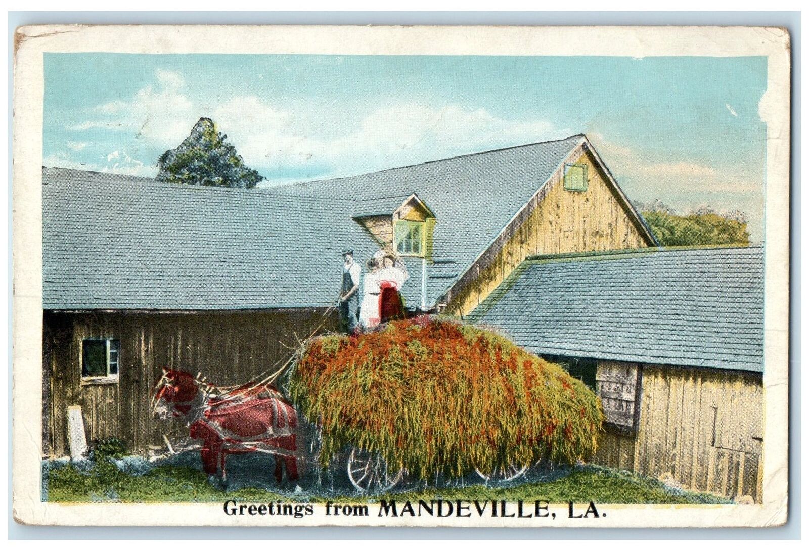 1922 Greetings From Mandeville Carriage Louisiana LA Posted Vintage Postcard
