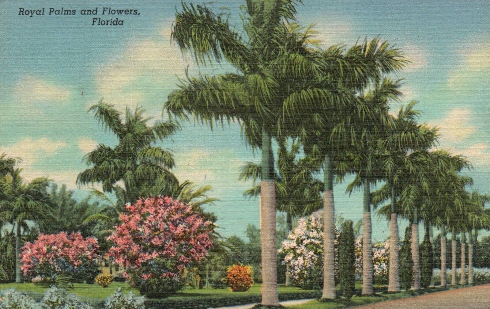 Postcard FL Florida Royal Palms & Flowers 1945 Linen Antique Vintage PC f690
