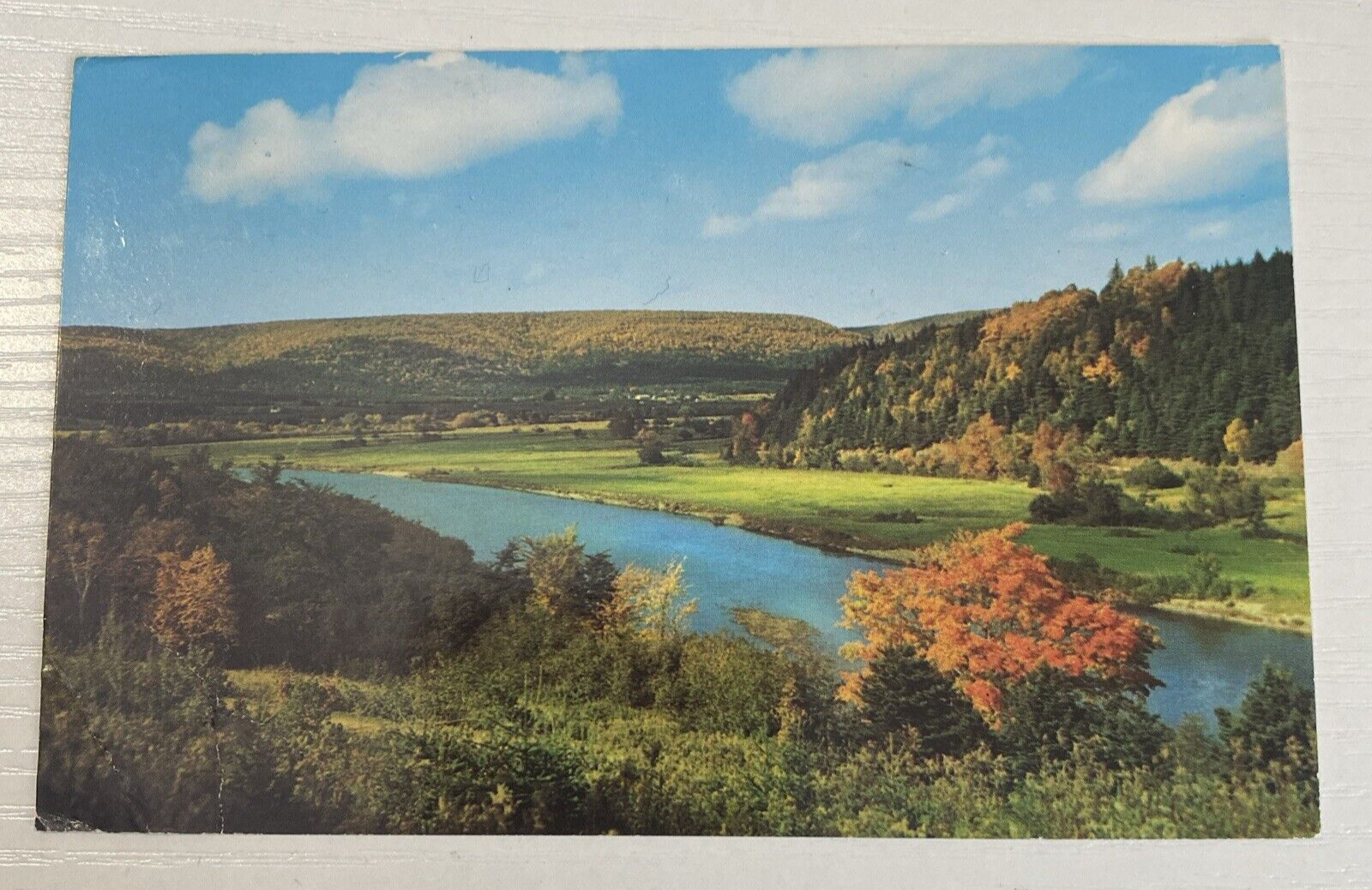CANADA Postcard The Margaree River - Cape Breton, Nova Scotia c1960s vintage C17