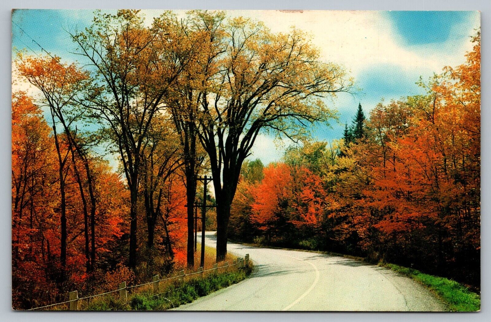 Postcard Greetings From South Berne Leaves of Red And Gold Autumn Fall NY 