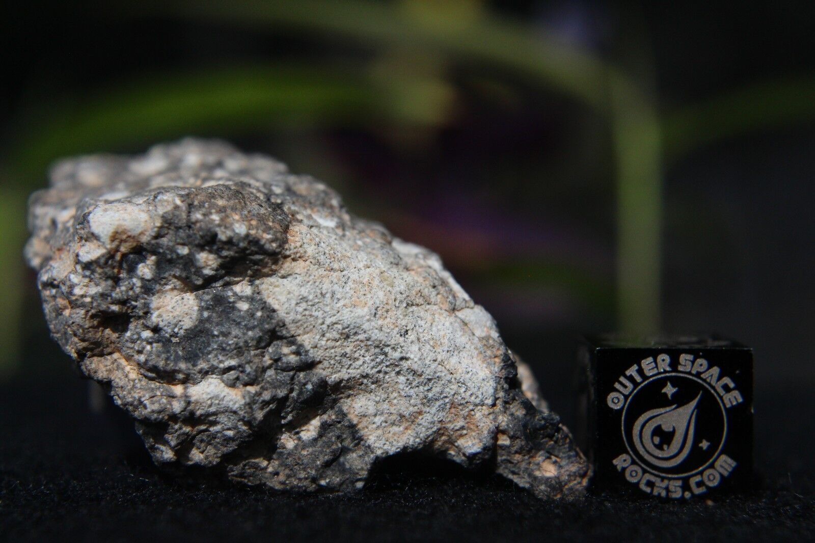 NWA 11266 Official Lunar Feldspathic Regolith Breccia Meteorite 20.5 gram frag