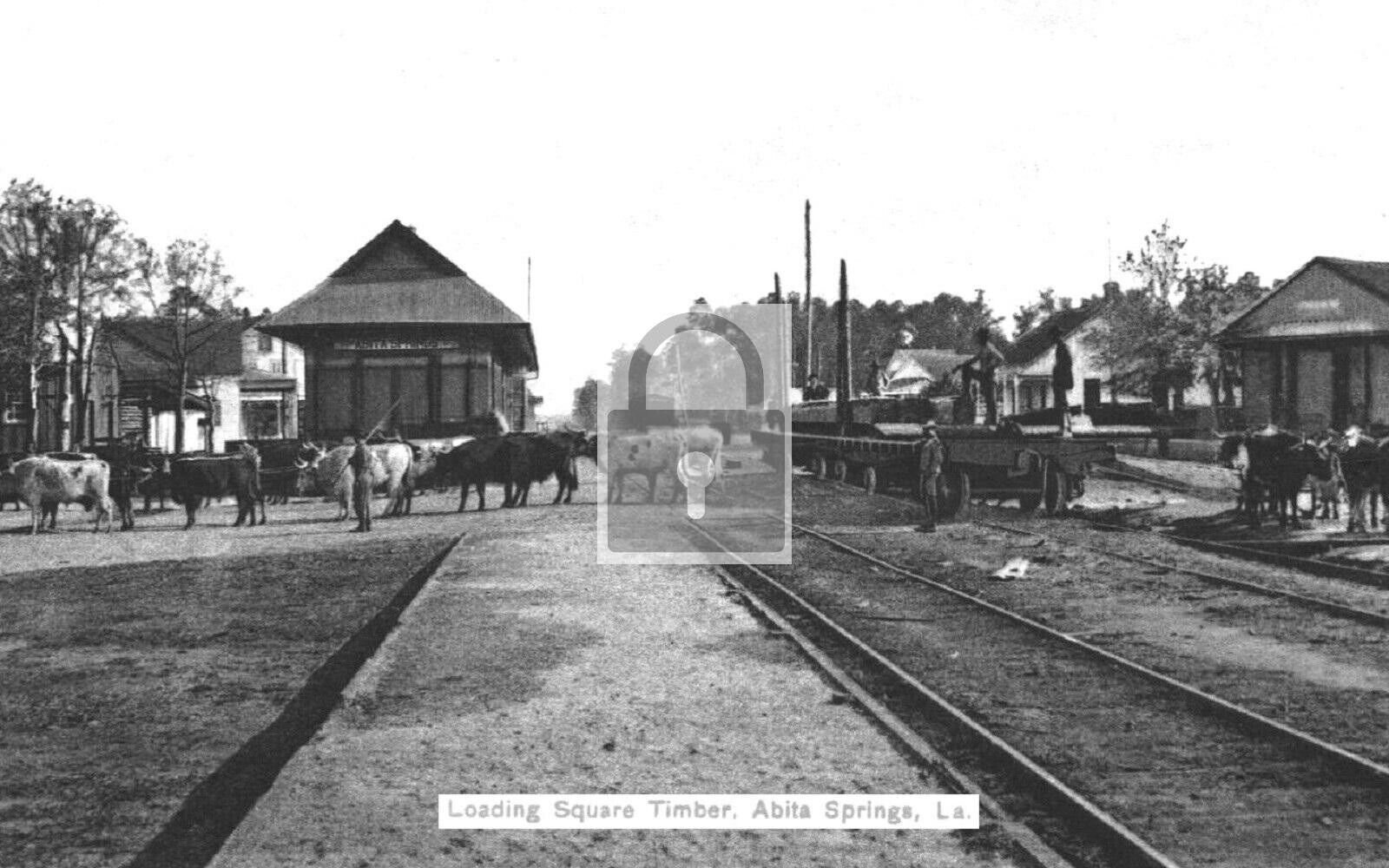 Loading Timber Railroad Station Abita Springs Louisiana LA Reprint Postcard