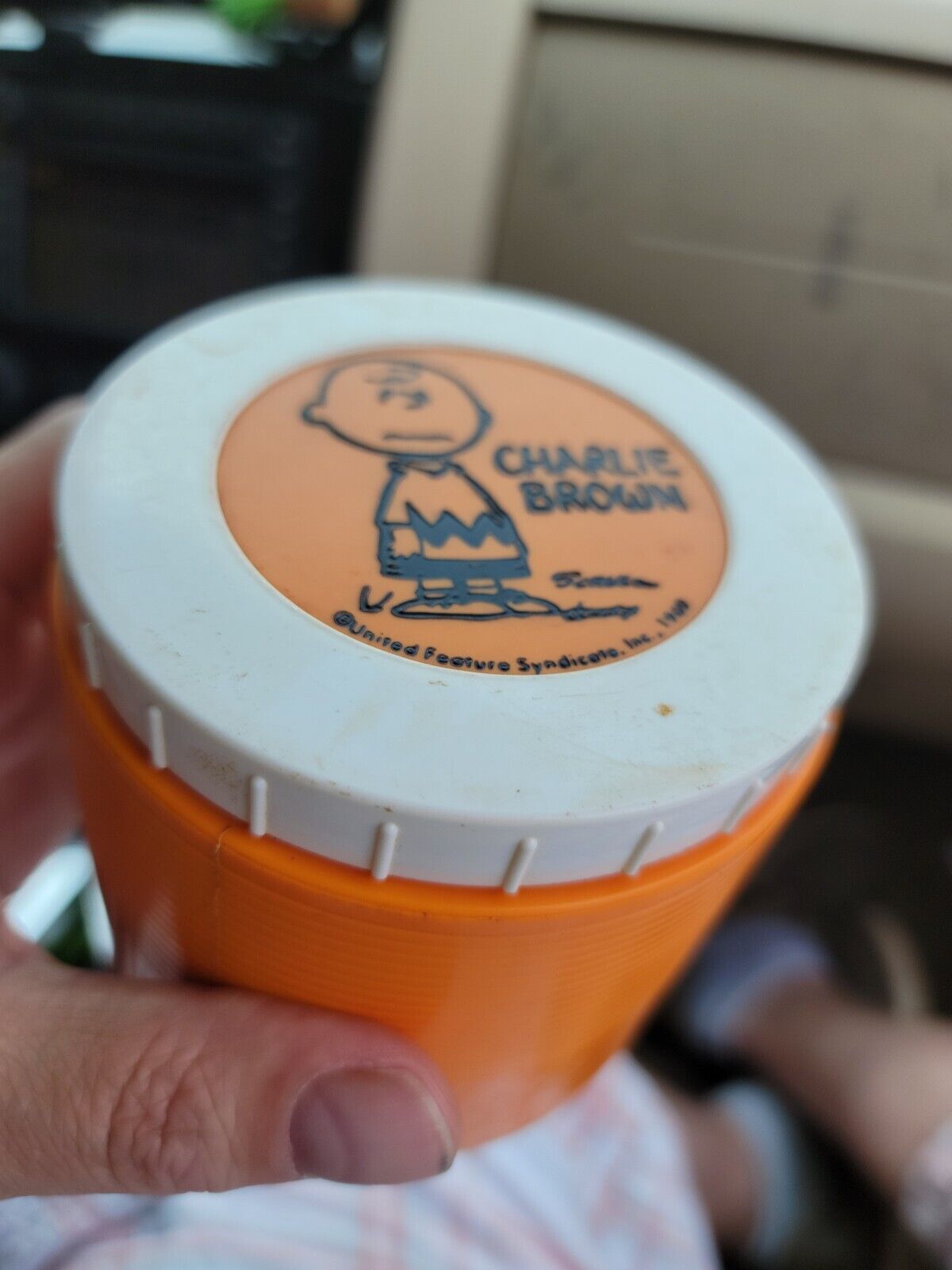 1969 charlie brown thermos