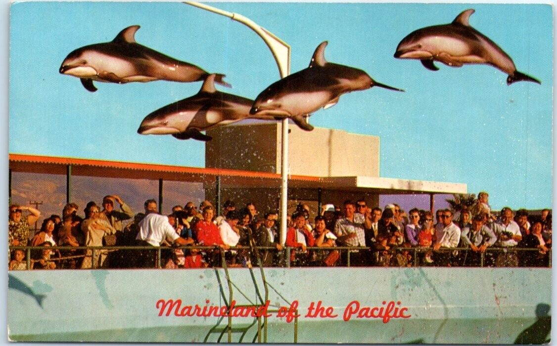 Postcard - High-Flying Dolphins, Marineland Of The Pacific - California
