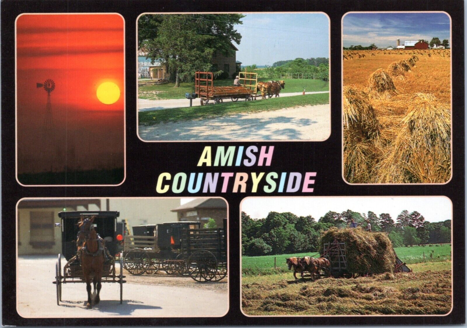 Postcard Amish  countryside