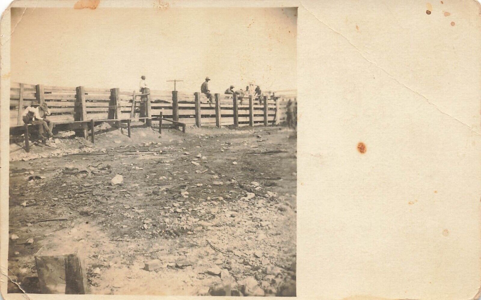 RPPC Men on a Fence Postcard