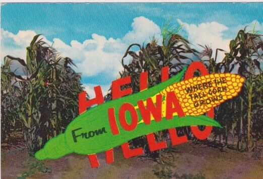 Hello From Iowa-Where The Tall Corn Grows