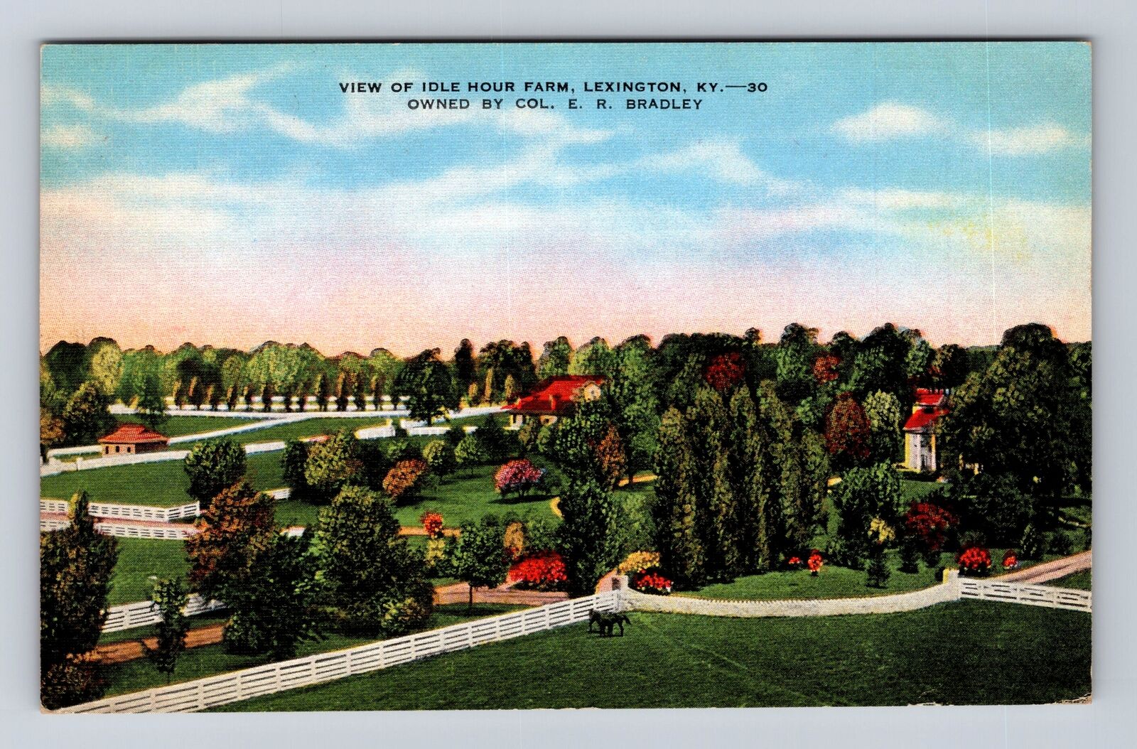 Lexington KY-Kentucky, View of Idle Hour Farm, Antique Vintage Souvenir Postcard