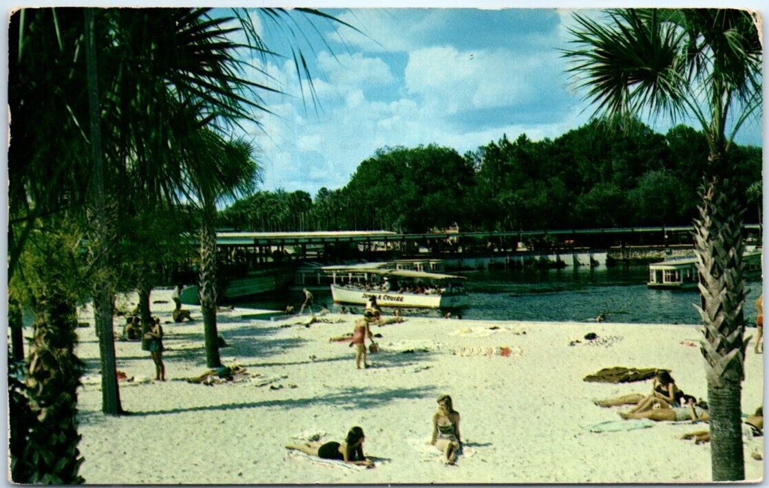 Postcard - Visitors of Florida\'s Silver Springs, USA