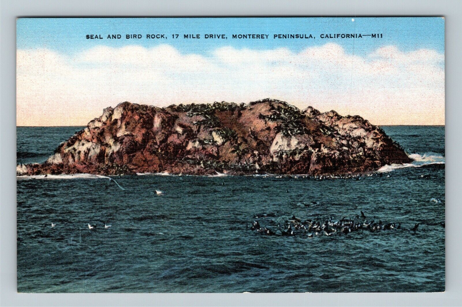 Monterey Peninsula CA, Seal And Bird Rock, California Vintage Postcard
