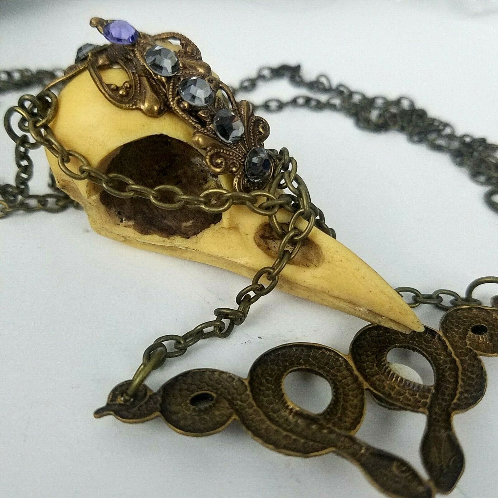 Real Bird Beak Necklace Handmade Steampunk Gothic Pagan Wiccan w/ Jewels & Box