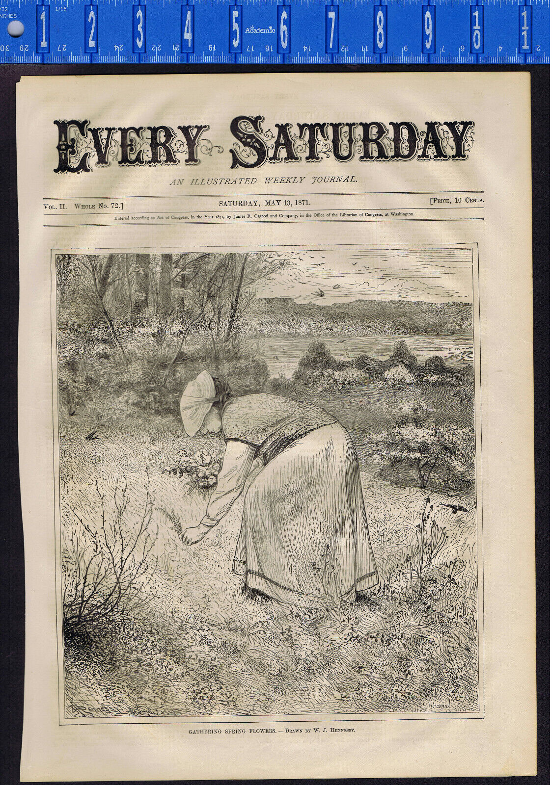 Gathering Spring Flowers,  New York Tammany - Every Saturday, May 1871