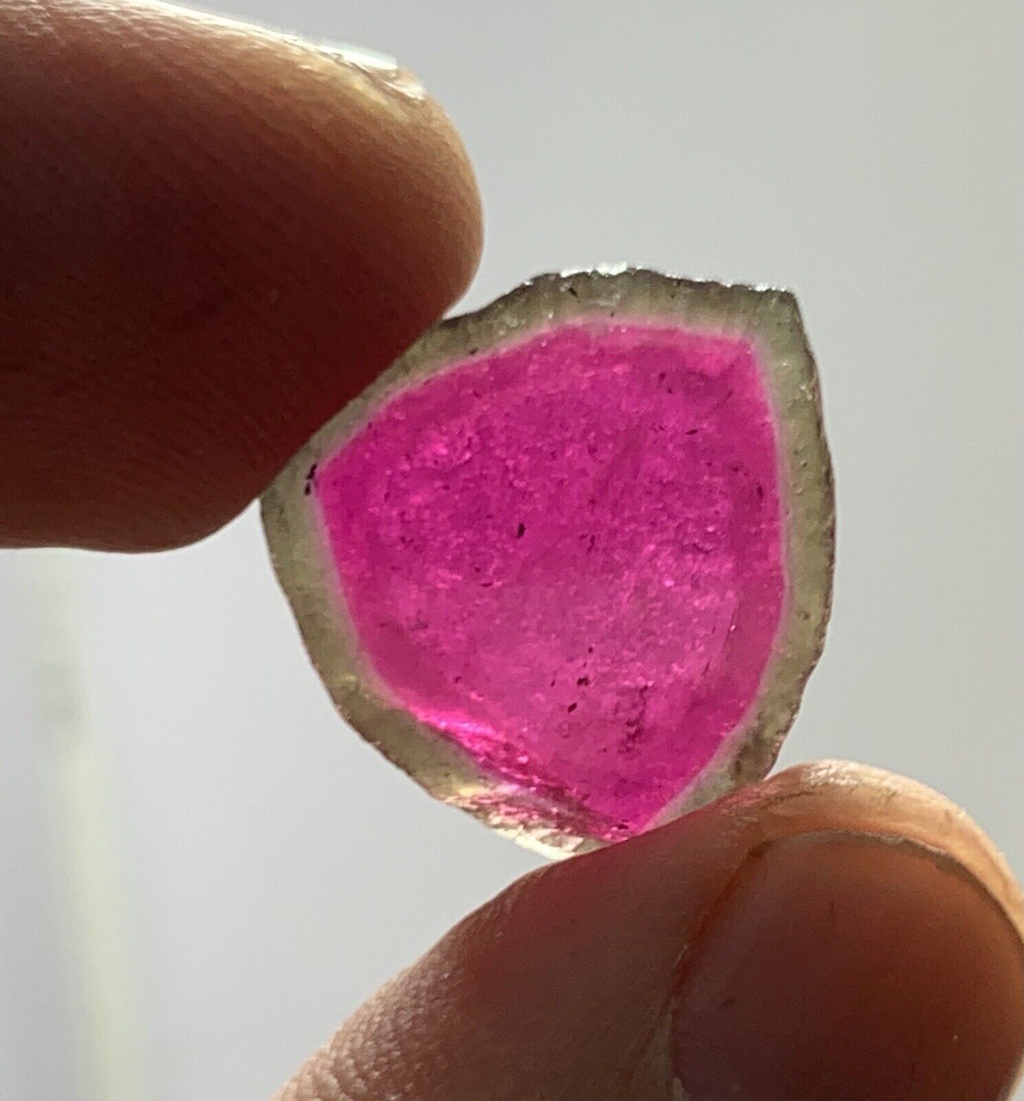15.5 CT  Perfect Watermelon TOURMALINE POLISHED SLICES FROM  AFGHANISTAN