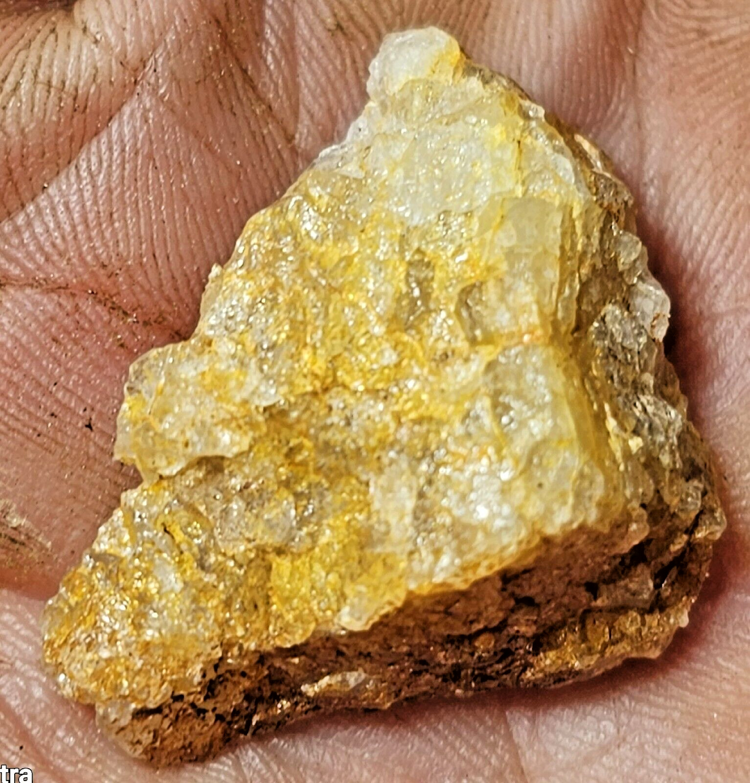 South Carolina Very Rich Specimen Lots Visible Gold Aprox 2 Grams #121