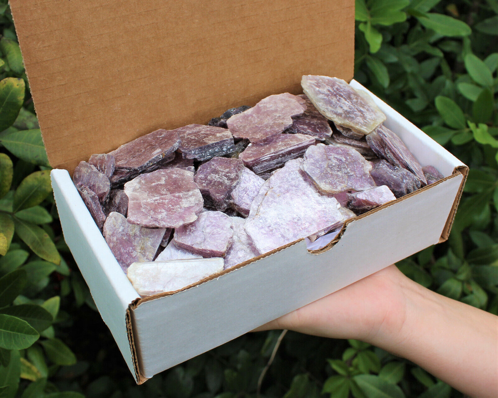1 lb Lepidolite Leaves / Slabs Collection in Box, Layered Mica Crystal Mirrors