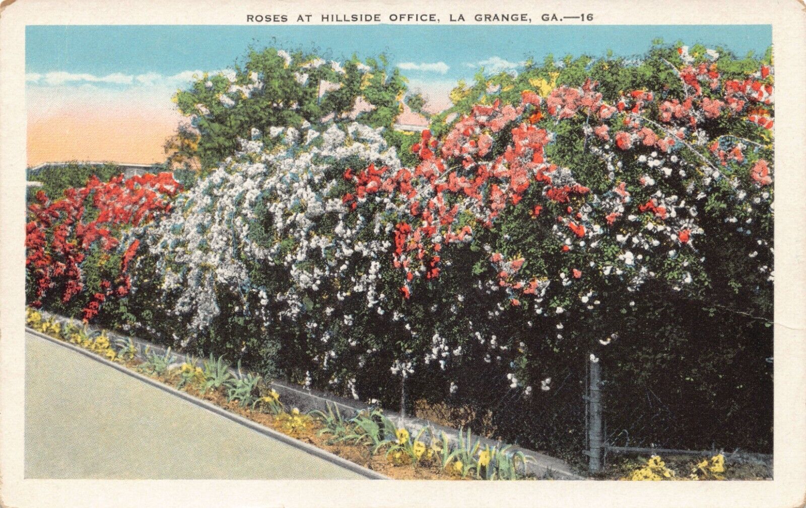 GA~GEORGIA~LAGRANGE~WINTER SCENE~ROSES AT HILLSIDE OFFICE~C.1930