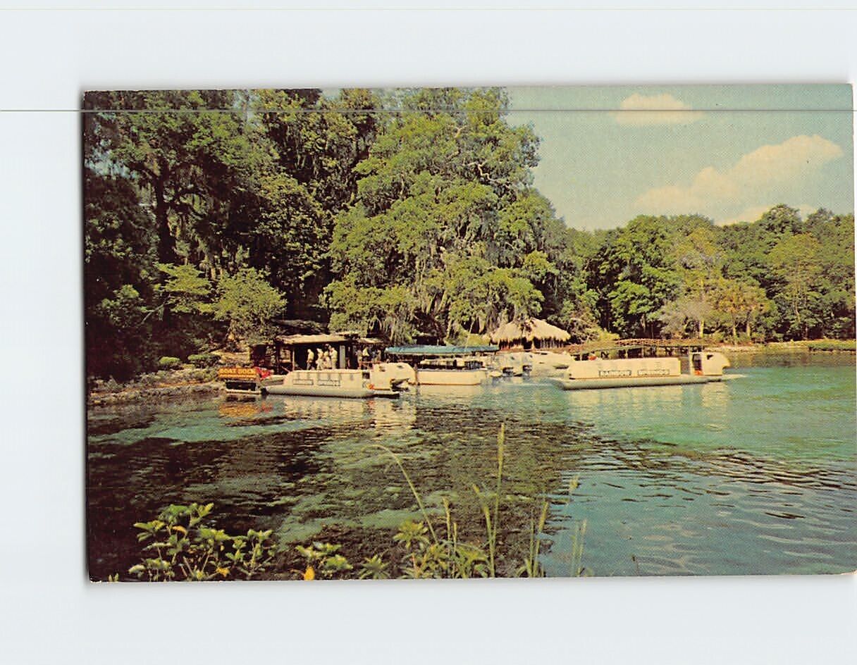 Postcard Rainbow Springs State Park Dunnellon Florida USA