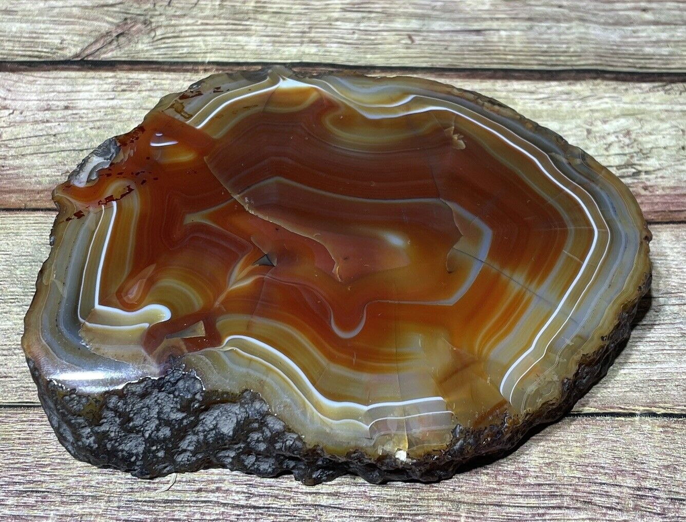 Large  Banded Agate  Face Polished 1.5” Thick 1.13 Pounds