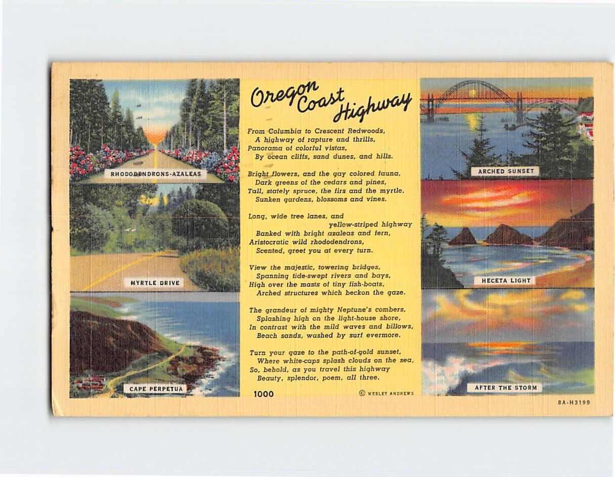 Postcard Oregon Coast Highway Oregon USA