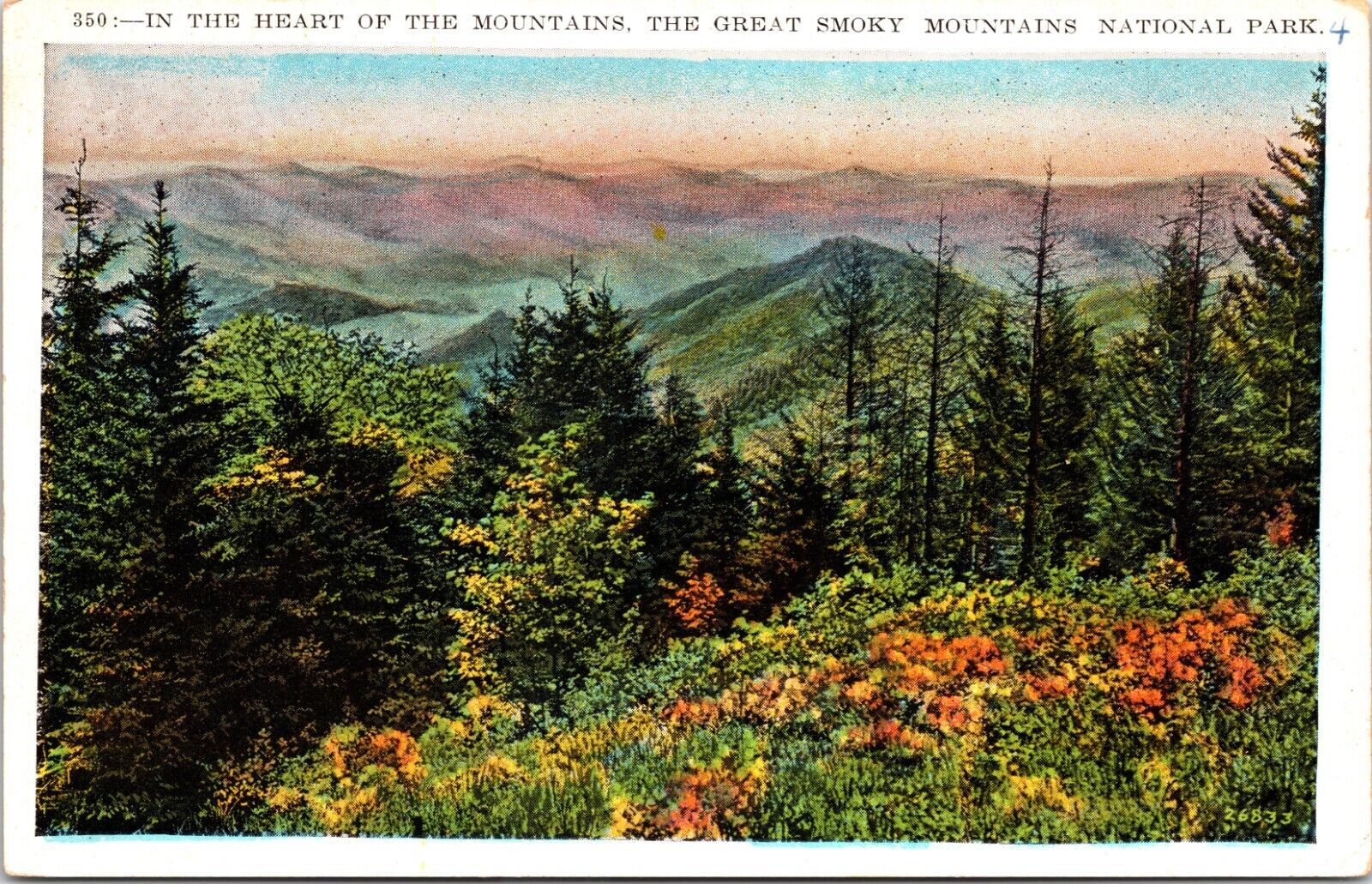 In The Heart of the Great Smoky Mountains National Park