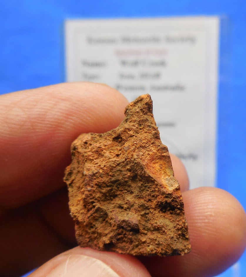 7.0 gram - WOLF CREEK (IIIAB IRON) METEORITE - Found 1947 Australia