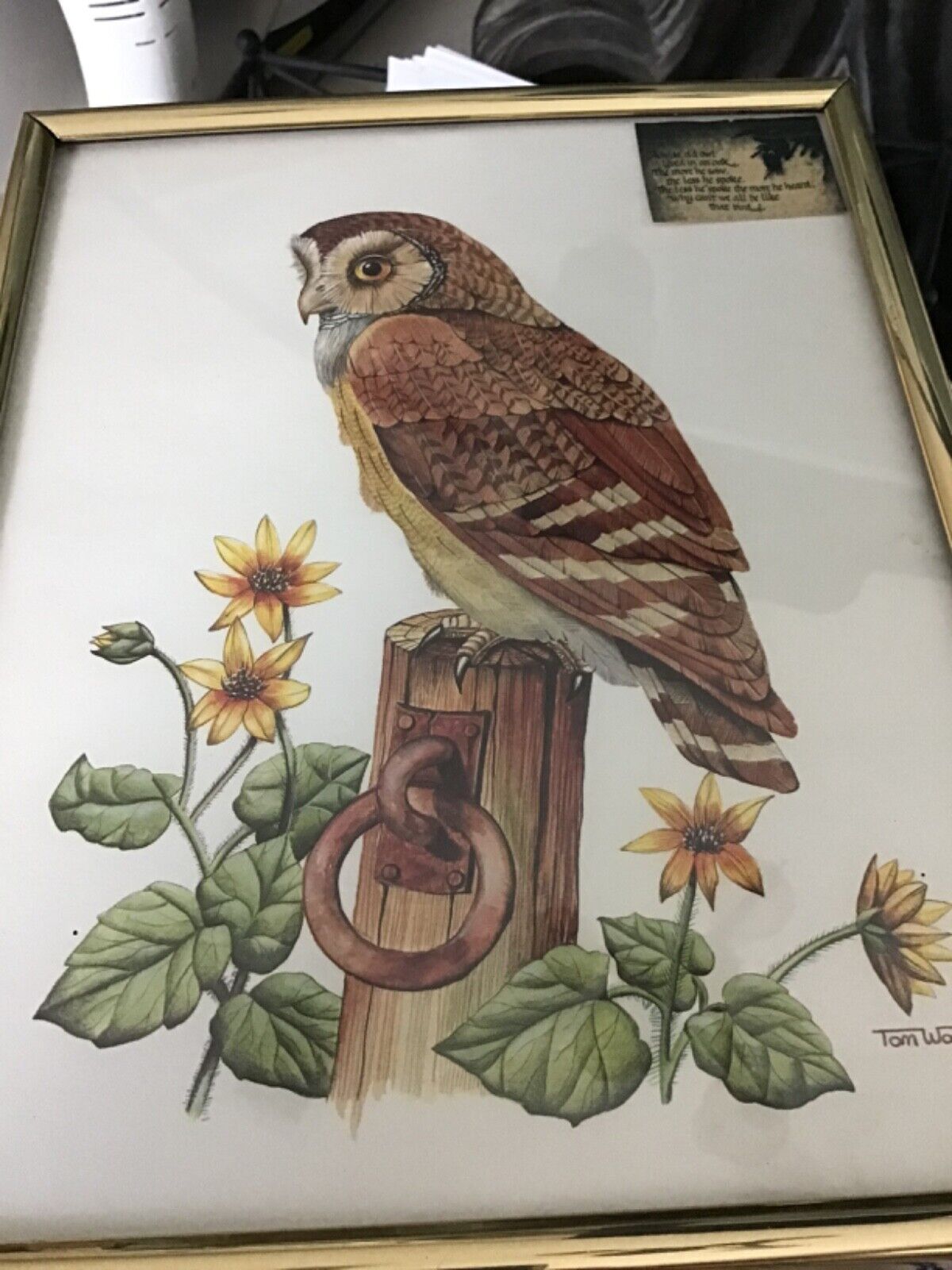 Vintage Framed Owl print and Owl Sculpture Home Decorating Wall Hanging Office