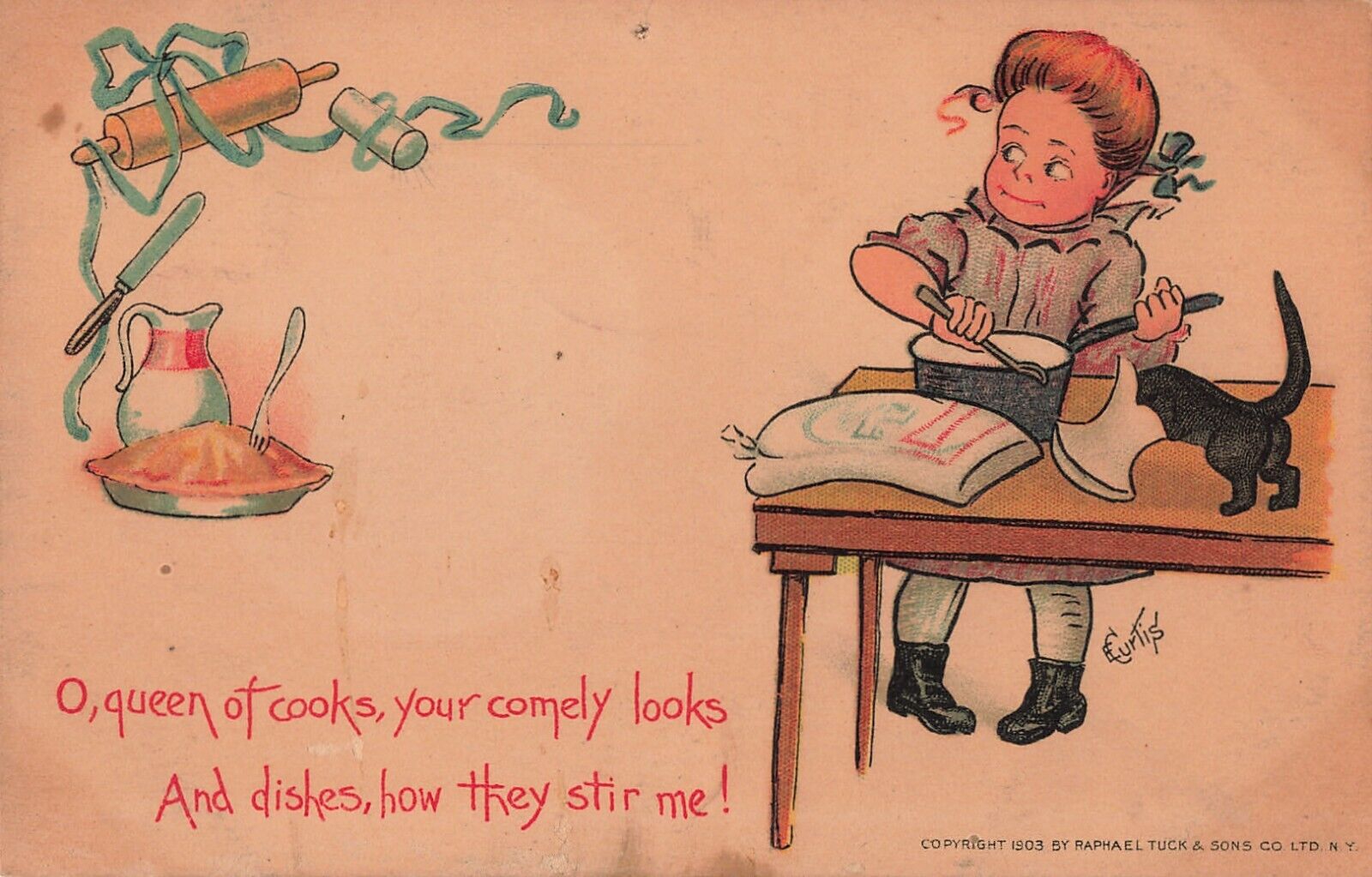 Raphael Tuck 1903 Postcard Verse Cute Girl Cook Black Cat Funny  *Ab7c