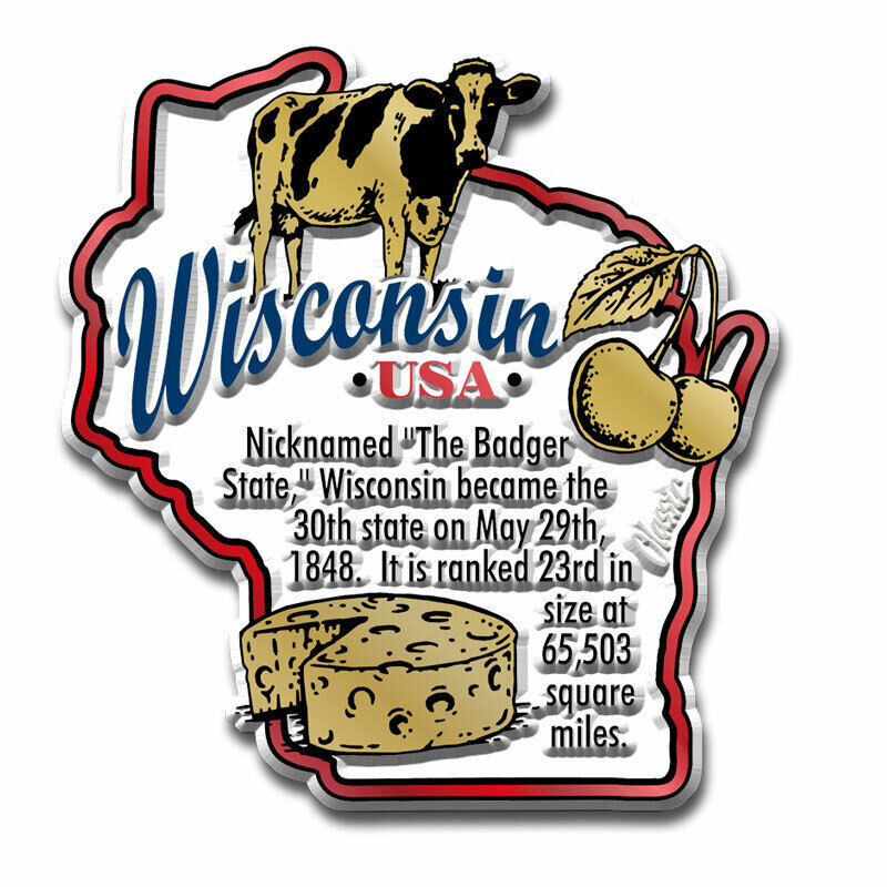 Wisconsin Information State Magnet by Classic Magnets, 2.5\
