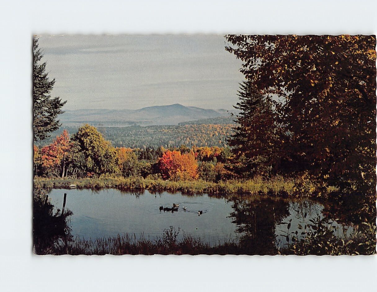 Postcard Glorious Fall Nature Scene