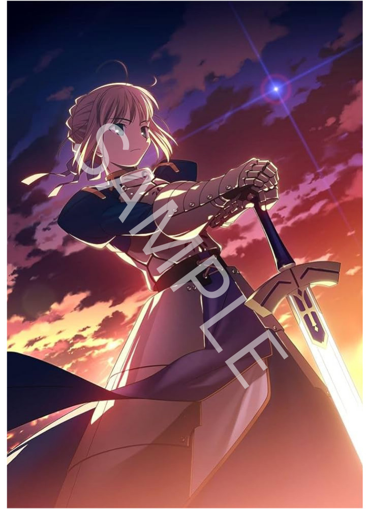 Fate Stay Night Saber Artoria Pendragon B2 Tapestry Wall Scroll Official Merch