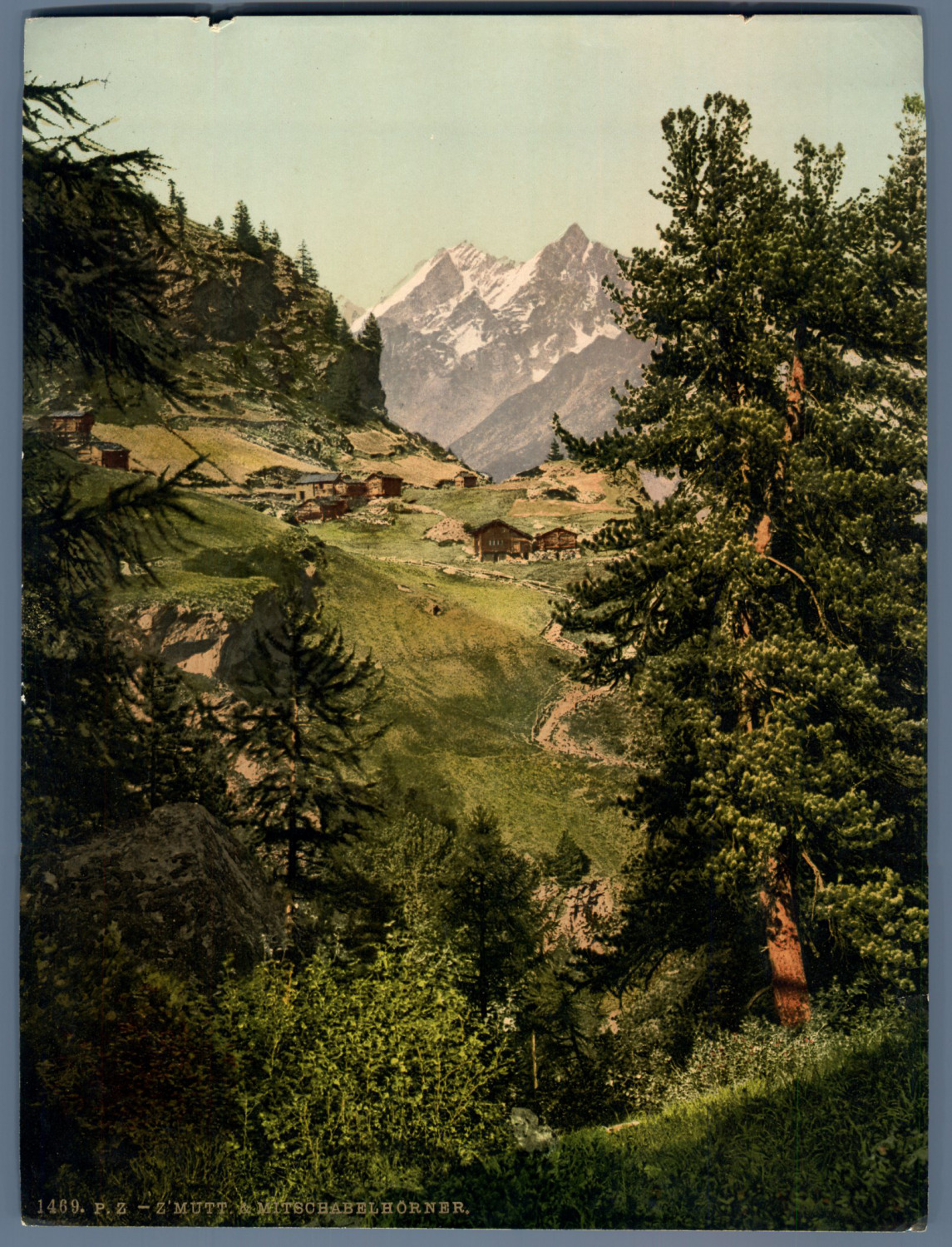 P.Z., Switzerland, Z'Mother & Co-Horns PZ Vintage Photochrome. Vintage Sw